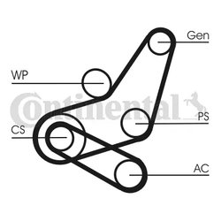 Set curea transmisie cu caneluri CONTINENTAL 6PK1059 ELAST T