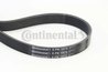 Curea transmisie CONTINENTAL 6PK1075