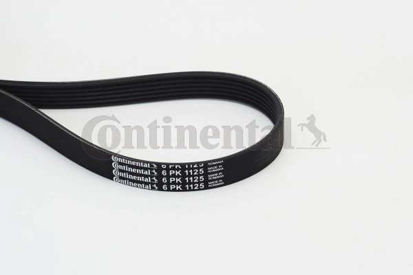Curea transmisie CONTINENTAL 6PK1125