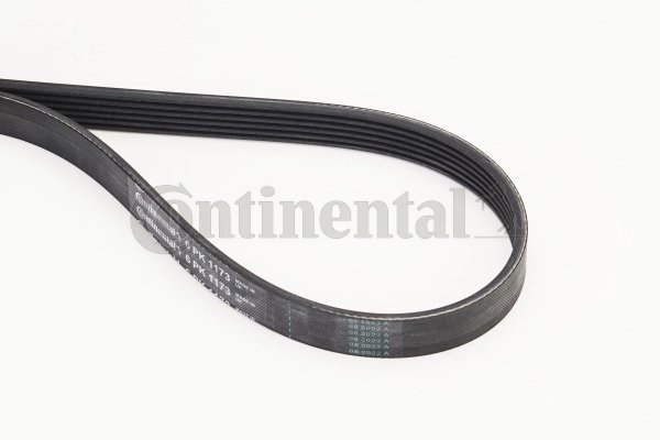 Curea transmisie CONTINENTAL 6PK1173