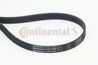 CUREA TRANSMISIE CONTINENTAL 6PK1200 - Compatibil cu CITROEN, DACIA, LAND ROVER, MAZDA, MERCEDES-BENZ, NISSAN, PEUGEOT, RENAULT,