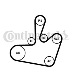 SET CUREA TRANSMISIE CU CANELURI CONTINENTAL 6PK1548K1 - Compatibil cu SEAT, SKODA, VW