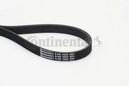 Curea transmisie CONTINENTAL 6PK1555