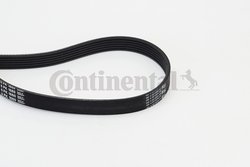 Curea transmisie CONTINENTAL 6PK1660