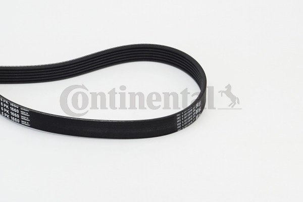 CUREA TRANSMISIE CONTINENTAL 6PK1660 - Compatibil cu AUDI, BMW, CITROEN, FIAT, HYUNDAI, KIA, LANCIA, PEUGEOT, RENAULT, RENAULT T