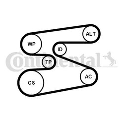 Set curea transmisie cu caneluri CONTINENTAL 6PK1698K1