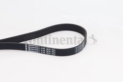 CUREA TRANSMISIE CONTINENTAL 6PK1836 - Compatibil cu ALFA ROMEO, BMW, CHEVROLET, DAEWOO, FIAT, LANCIA, OPEL, RENAULT