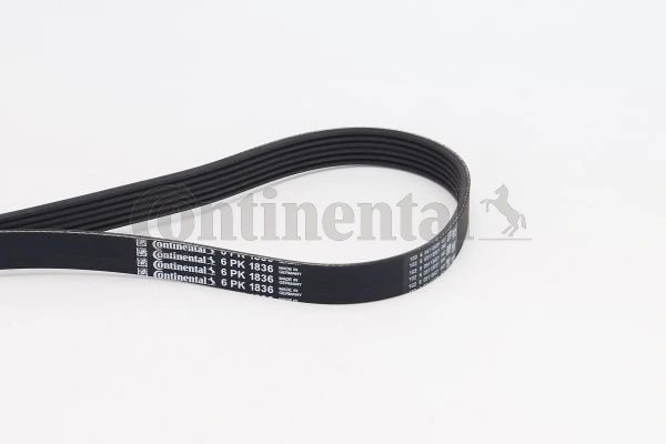 Curea transmisie CONTINENTAL 6PK1836