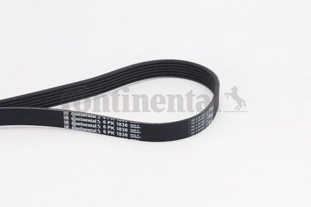 Curea transmisie CONTINENTAL 6PK1836
