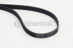 Curea transmisie CONTINENTAL 6PK1873