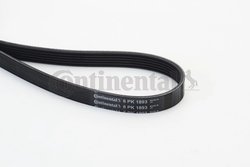 Curea transmisie CONTINENTAL 6PK1893