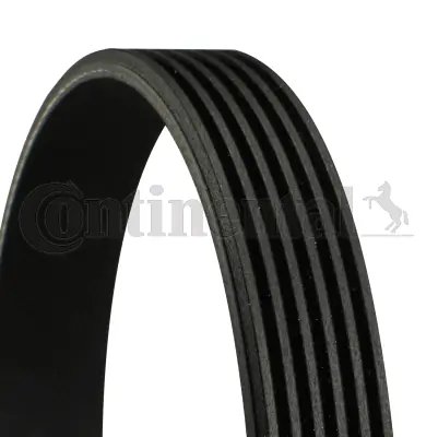 Curea transmisie CONTINENTAL 6PK2445