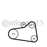 SET CUREA TRANSMISIE CU CANELURI CONTINENTAL 6PK905 EXTRA K1 - Compatibil cu CITROEN, DS, MINI, PEUGEOT