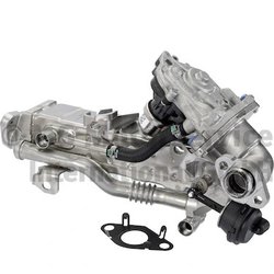 RADIATOR RECIRCULARE GAZE ESAPAMENT PIERBURG 7.11010.00.0 - Compatibil cu BMW