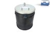 BURDUF SUSPENSIE PNEUMATICA DT SPARE PARTS 7.12006 - Piesa auto compatibila cu mai multe marci