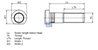 BOLT ROATA DT SPARE PARTS 7.32137 - Compatibil cu IVECO