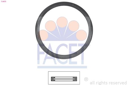 Garnitura termostat FACET 7.9675
