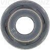 Etansare supape Victor Reinz 70-53678-00