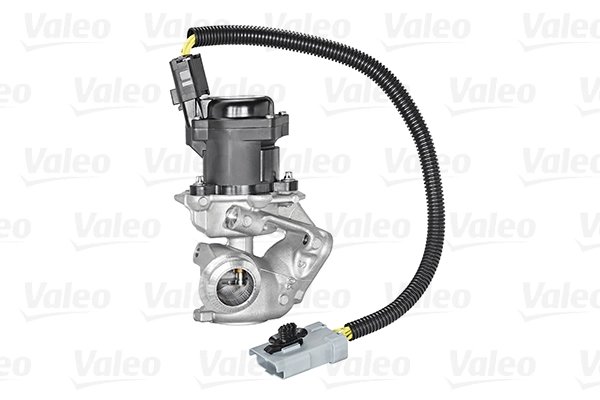 Supapa EGR Valeo 700409