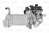 Modul-EGR Valeo 700438
