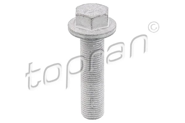 Surub fulie Topran 701 617