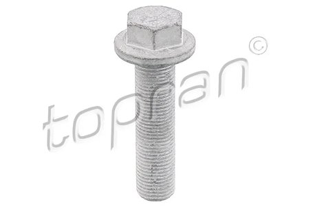 Surub fulie Topran 701 617