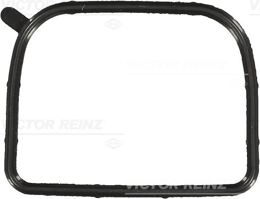 GARNITURA GALERIE ADMISIE VICTOR REINZ 71-10116-00 - Compatibil cu HYUNDAI, KIA