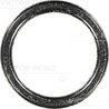 GARNITURA GALERIE EVACUARE VICTOR REINZ 71-10306-00 - Compatibil cu BMW, BMW (BRILLIANCE)