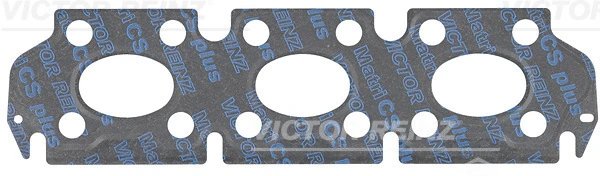 GARNITURA GALERIE EVACUARE VICTOR REINZ 71-12264-00 - Compatibil cu BMW, MINI