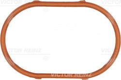 Garnitura galerie admisie Victor Reinz 71-28916-00