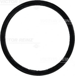 GARNITURA GALERIE ADMISIE VICTOR REINZ 71-31647-00 - Compatibil cu MERCEDES-BENZ