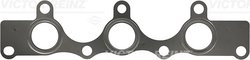 GARNITURA GALERIE EVACUARE VICTOR REINZ 71-33226-00 - Compatibil cu SMART