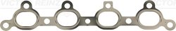 GARNITURA GALERIE EVACUARE VICTOR REINZ 71-34196-00 - Compatibil cu OPEL, VAUXHALL