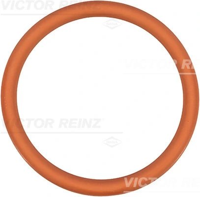 Garnitura galerie admisie Victor Reinz 71-35247-00