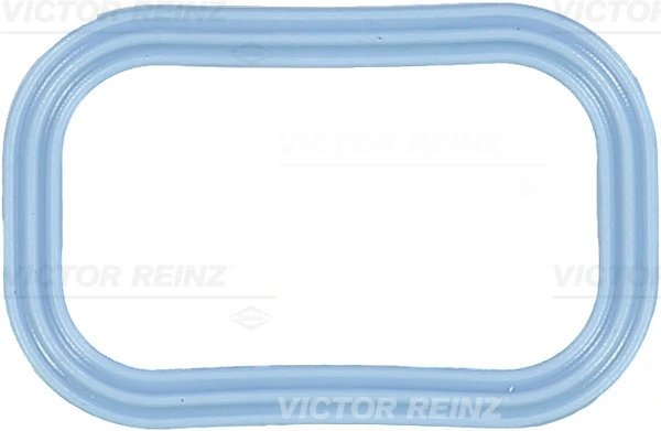 GARNITURA GALERIE ADMISIE VICTOR REINZ 71-35539-00 - Compatibil cu CITROEN, FIAT, FORD, FORD ASIA & OCEANIA, FORD AUSTRALIA, FOR