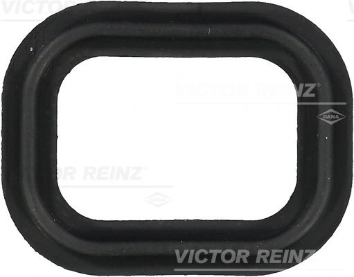 Garnitura galerie admisie Victor Reinz 71-35651-00