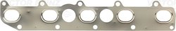 GARNITURA GALERIE EVACUARE VICTOR REINZ 71-36673-00 - Compatibil cu LAND ROVER