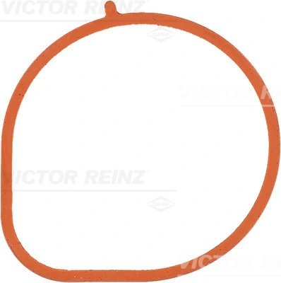 Garnitura galerie admisie Victor Reinz 71-36686-00