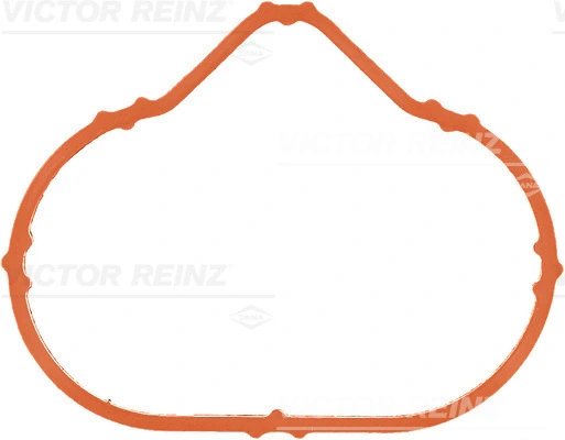 Garnitura galerie admisie Victor Reinz 71-38549-00