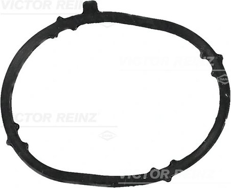 Garnitura galerie admisie Victor Reinz 71-39022-00