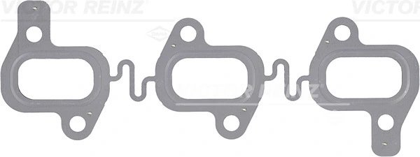 GARNITURA GALERIE EVACUARE VICTOR REINZ 71-40492-00 - Compatibil cu AUDI