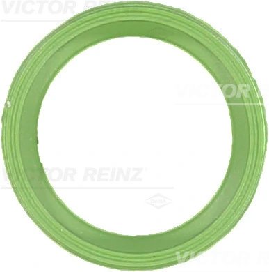 Garnitura galerie admisie Victor Reinz 71-40534-00