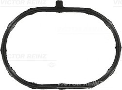 GARNITURA GALERIE ADMISIE VICTOR REINZ 71-53752-00 - Compatibil cu HONDA