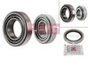 SET RULMENT ROATA FAG 713 6153 10 - Compatibil cu FORD, FORD AUSTRALIA, MAZDA