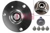 Set rulment roata FAG 713 6610 10