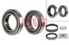 Set rulment roata FAG 713 6673 80