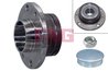 Set rulment roata FAG 713 6907 30