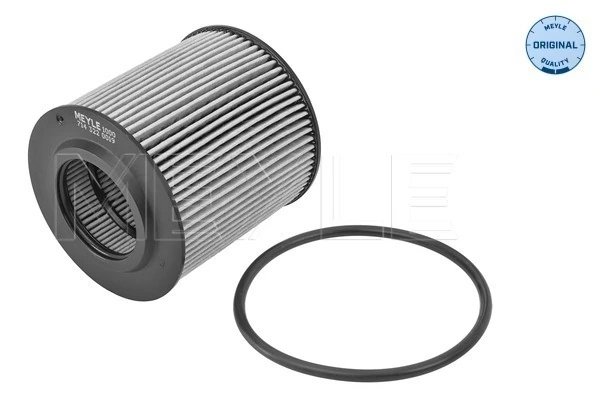 FILTRU ULEI MEYLE 714 322 0019 - Compatibil cu FORD