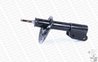 AMORTIZOR MONROE 71661 - Compatibil cu CHEVROLET, OPEL, PONTIAC, VAUXHALL