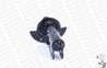 AMORTIZOR MONROE 71661 - Compatibil cu CHEVROLET, OPEL, PONTIAC, VAUXHALL